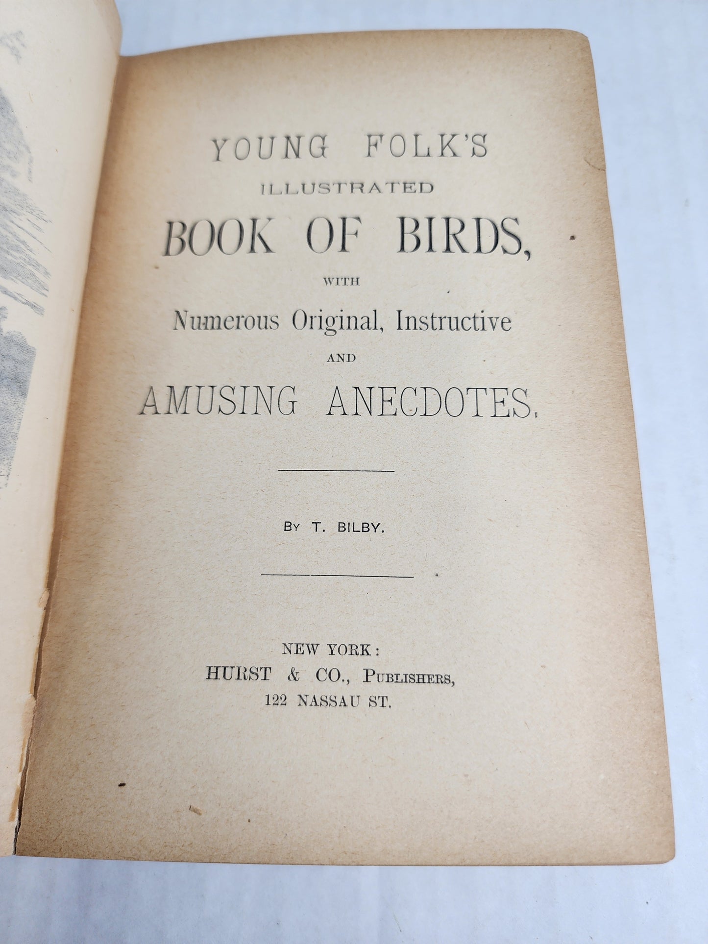 Young Folks Book of Birds