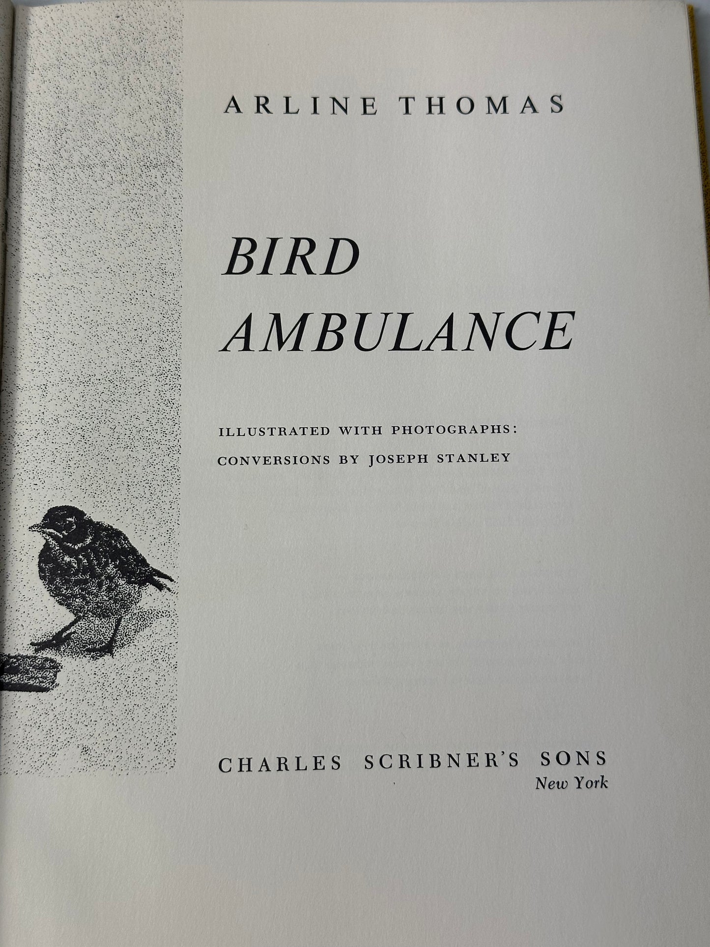 Bird Ambulance 1971 Arline Thomas