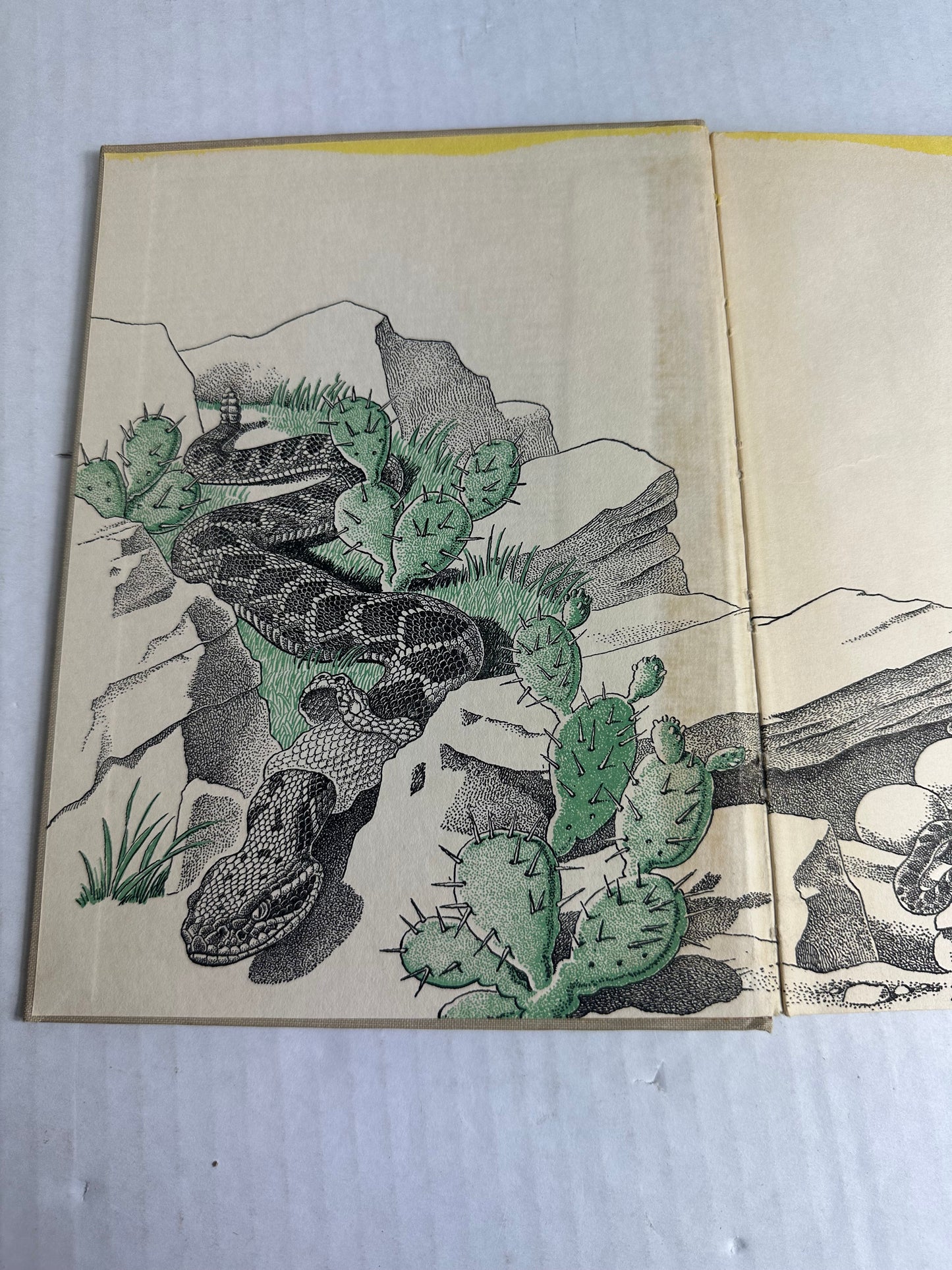 All About Snakes 1956