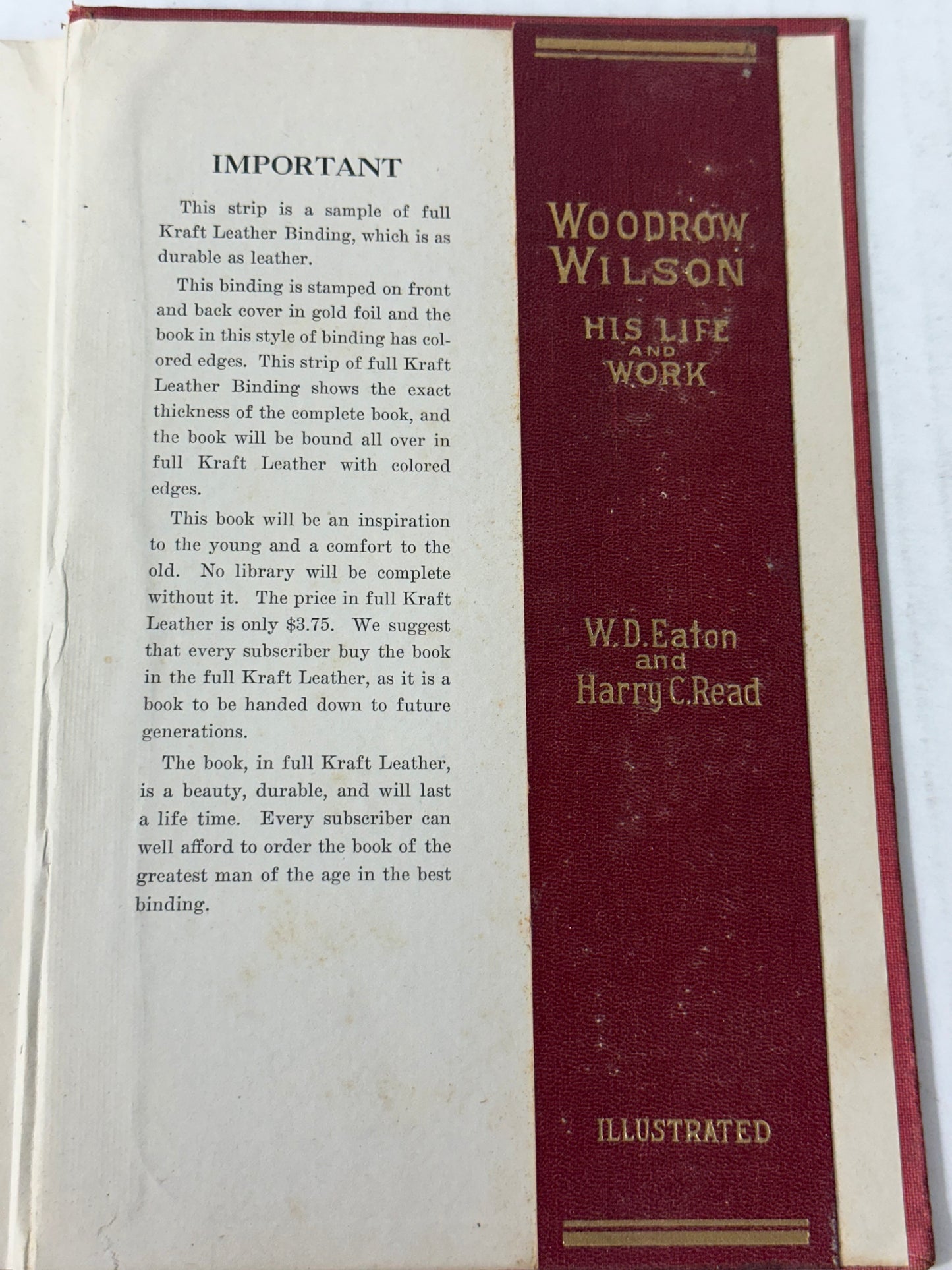 Woodrow Wilson His Life and Work 1919