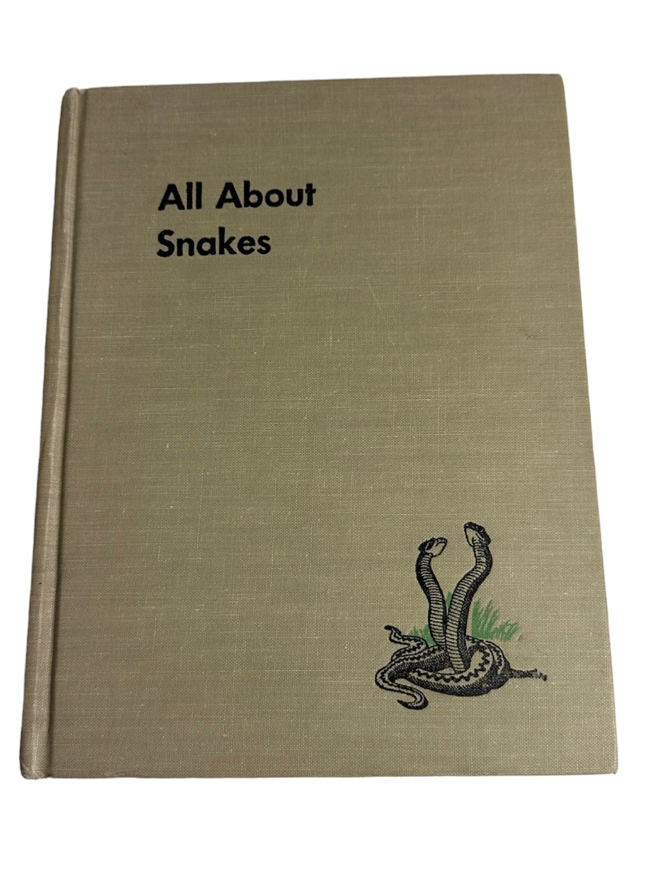 All About Snakes 1956