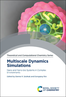 Multiscale Dynamics Simulations: Nano and Nano-bio Systems in Complex Environments (Issn)