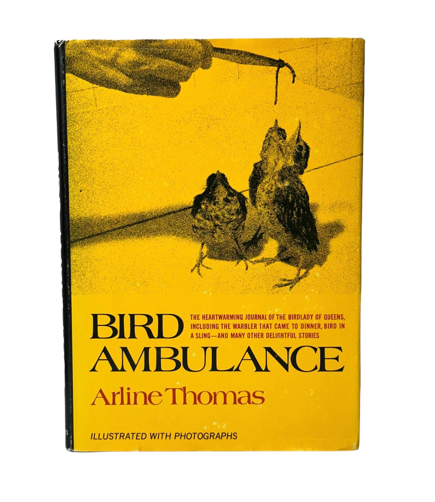 Bird Ambulance 1971 Arline Thomas