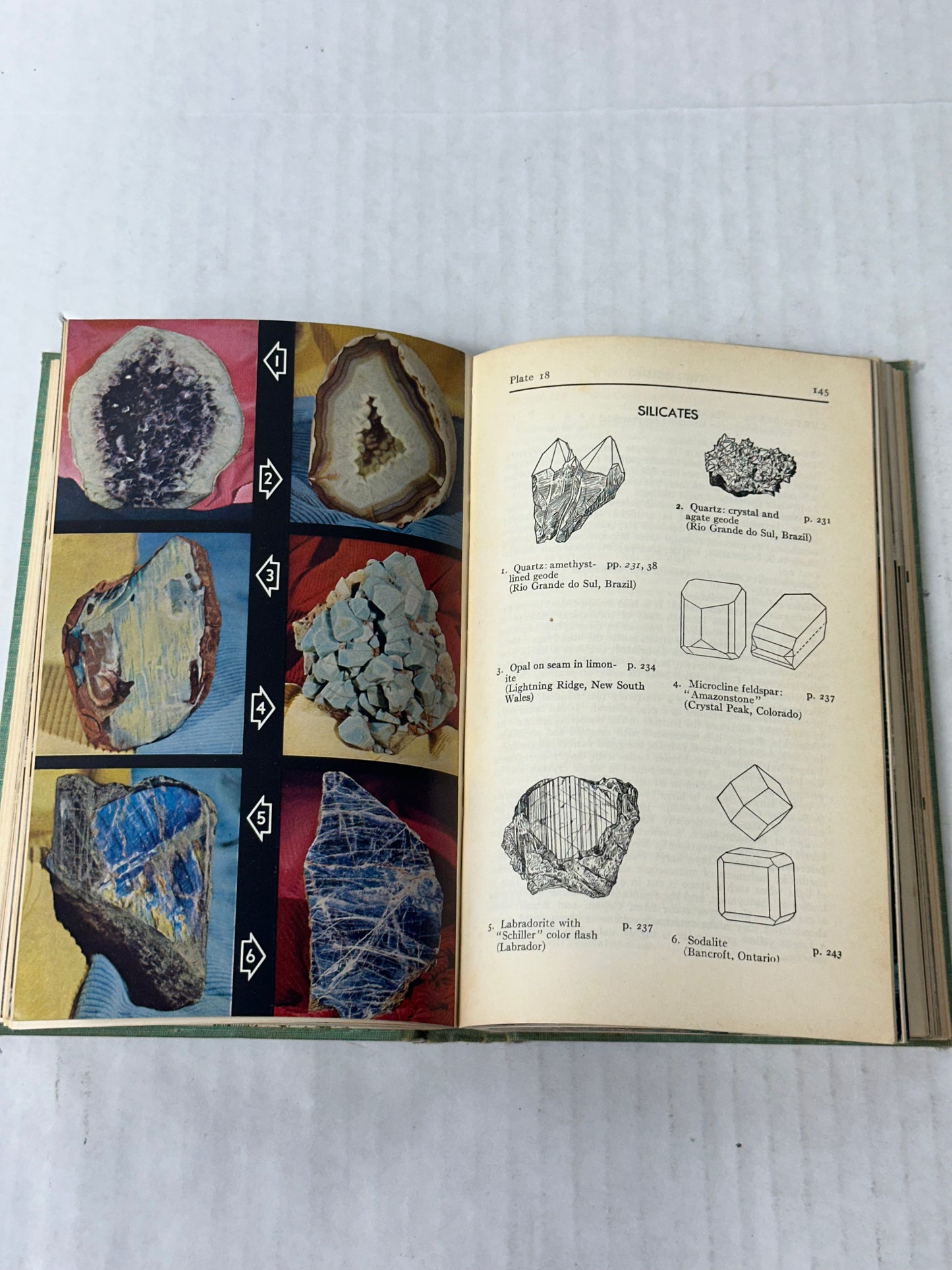 A Field Guide To Rocks and Minerals 1955