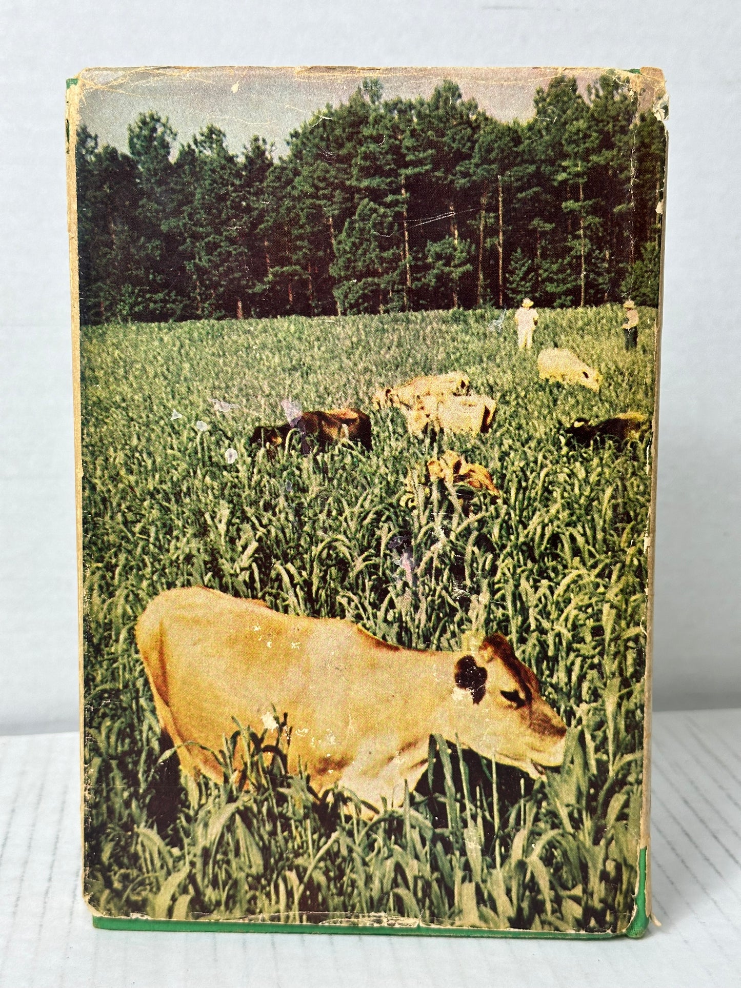 The Pasture Book 1949 by W. R. Thompson