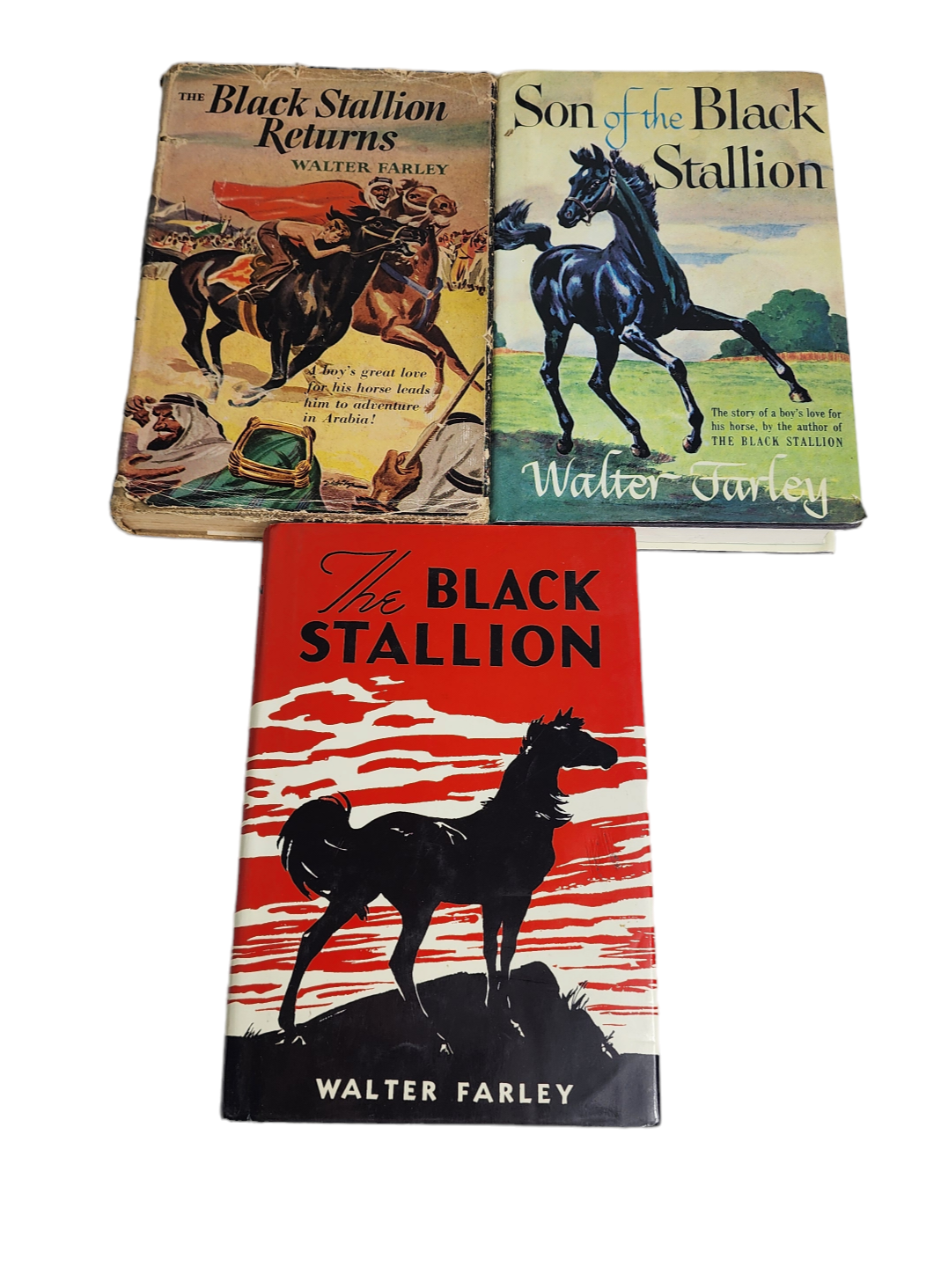 The Black Stallion Set of 3